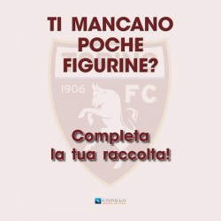Figurine mancanti Torino 2022/2023